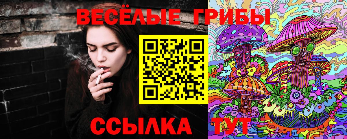 Псилоцибиновые грибы GOLDEN TEACHER  Псилоцибиновые грибы MAGIC MUSHROOMS  Сланцы  Вход с VPN 